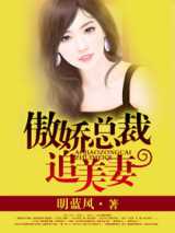 傲娇总裁追美妻