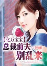 总裁前夫，别乱来