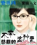 废物总裁的强悍妻