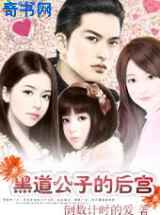 黑道公子的后宫