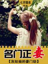 灰姑娘的豪门劫：名门正妻