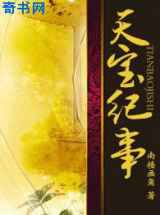 天宝纪事