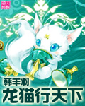 龙猫行天下