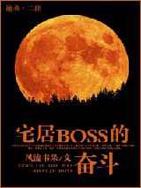 宅居BOSS的奋斗