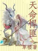 天命悍匪