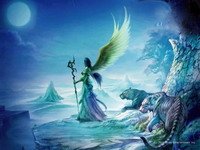 网游之圣龙传说