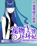 宠物王爷坏坏妃