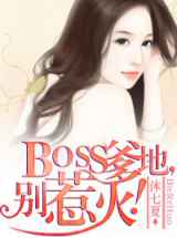 BOSS爹地，别惹火！