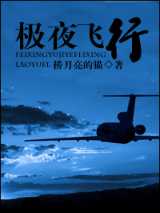 极夜飞行