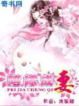 陪嫁成妻