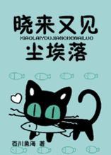 晓来又见尘埃落