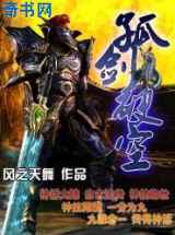 孤剑破空
