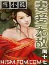 妻妾无敌