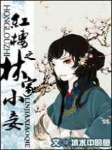 红楼之林家小妾