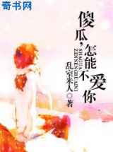 傻瓜，怎能不爱你