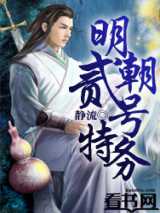明朝贰号特务
