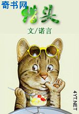猎头