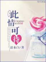 此情可待