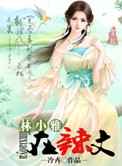 林小雅在辣文
