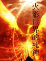 火影世界的死神