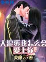 大混蛋我怎么会爱上你