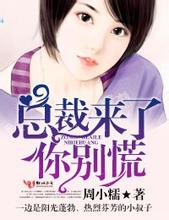 总裁来了，你别慌