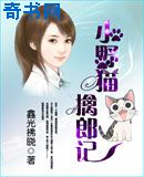 小野猫擒郎记