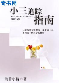 小三追踪指南