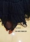 红狐狸白狐狸