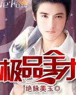 极品全才