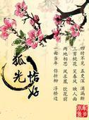 狐光恰好
