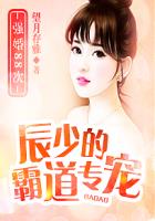 辰少的霸道专宠之强婚88次