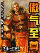 傲气至尊