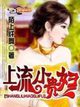上流小贵妇