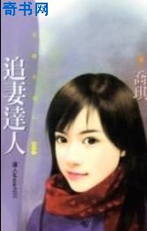追妻达人