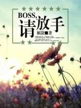 BOSS，请放手！