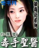 毒手圣医