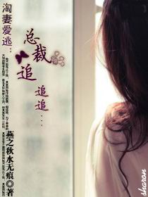淘妻爱逃：冷少追追追