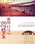 谁叫白马踏梦来