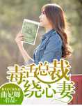 毒舌总裁绕心妻