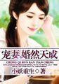 宠妻，婚然天成