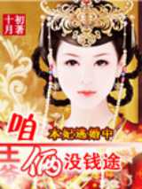本妃逃婚中：王爷，咱俩没钱途