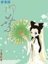 柳叶传