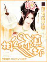 花丛高手