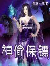 神偷保镖