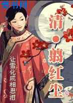 飞跃时空守护爱(清穿)