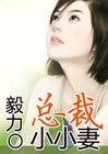 总裁小小妻