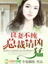 良妻不纯，总裁请凶猛