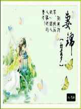 妻锦