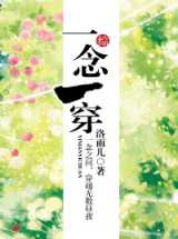 一念一穿(综同人)